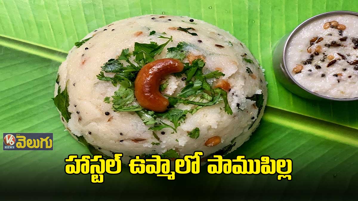 హాస్టల్ ఉప్మాలో పాముపిల్ల